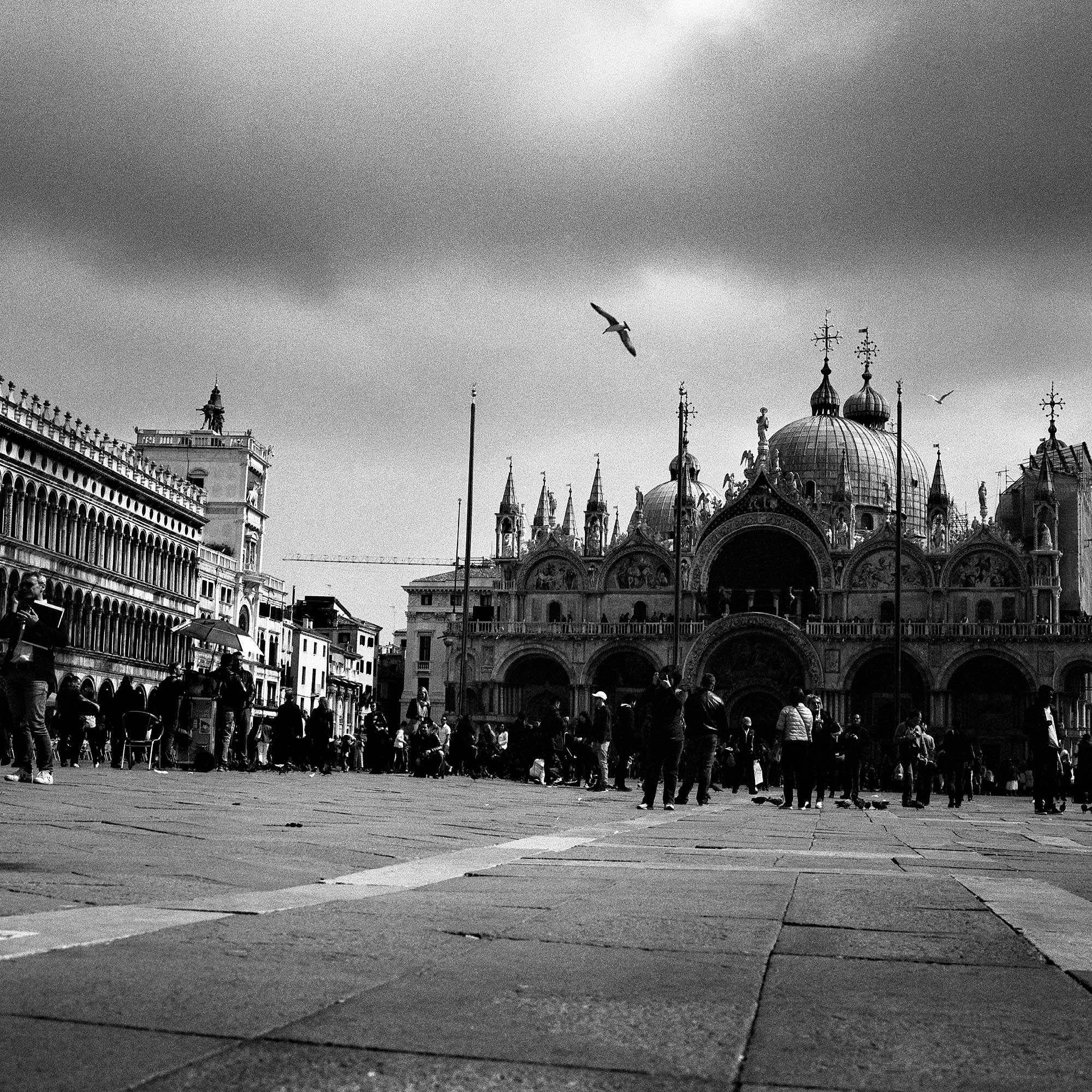 black and white venice street photography