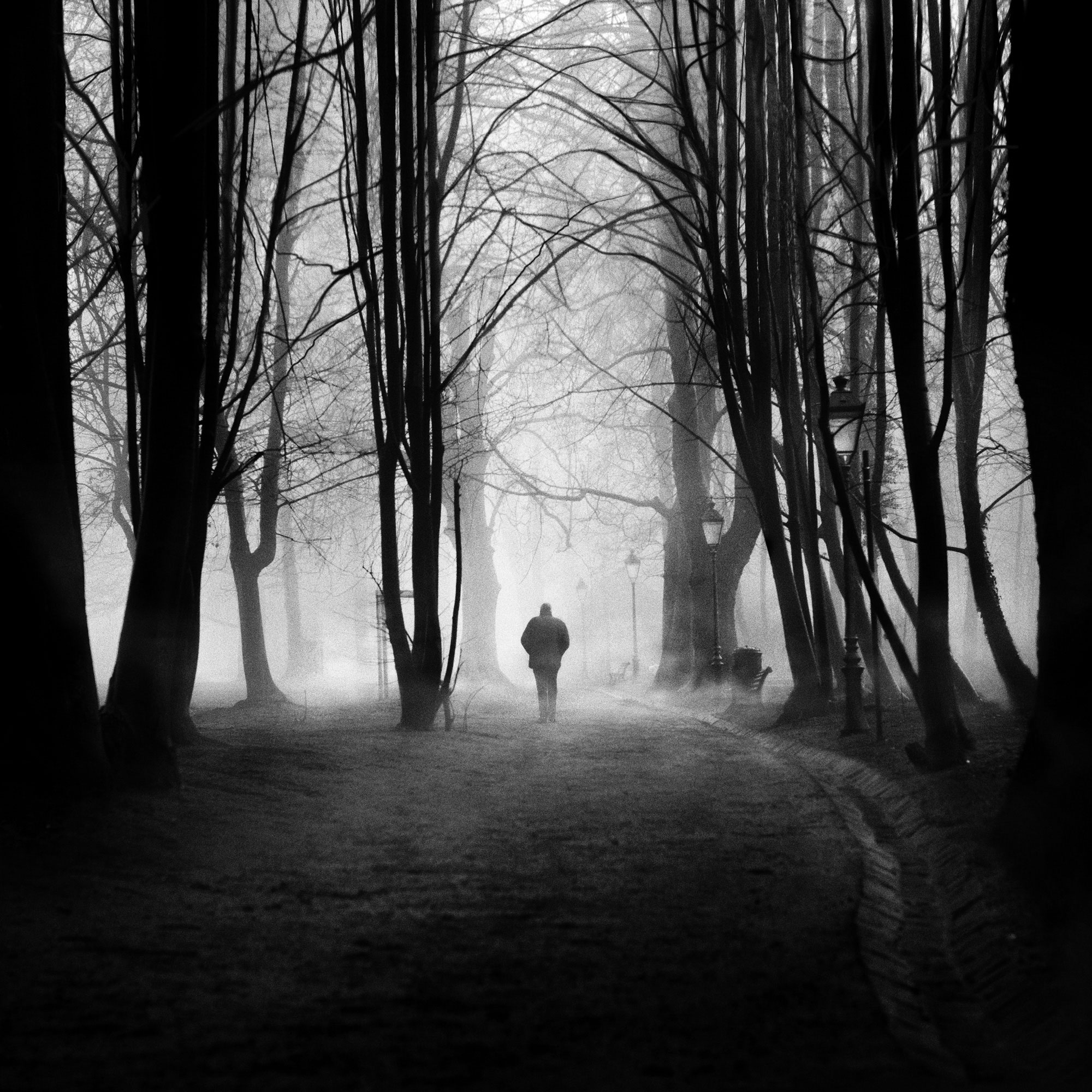 Black and White mist photography