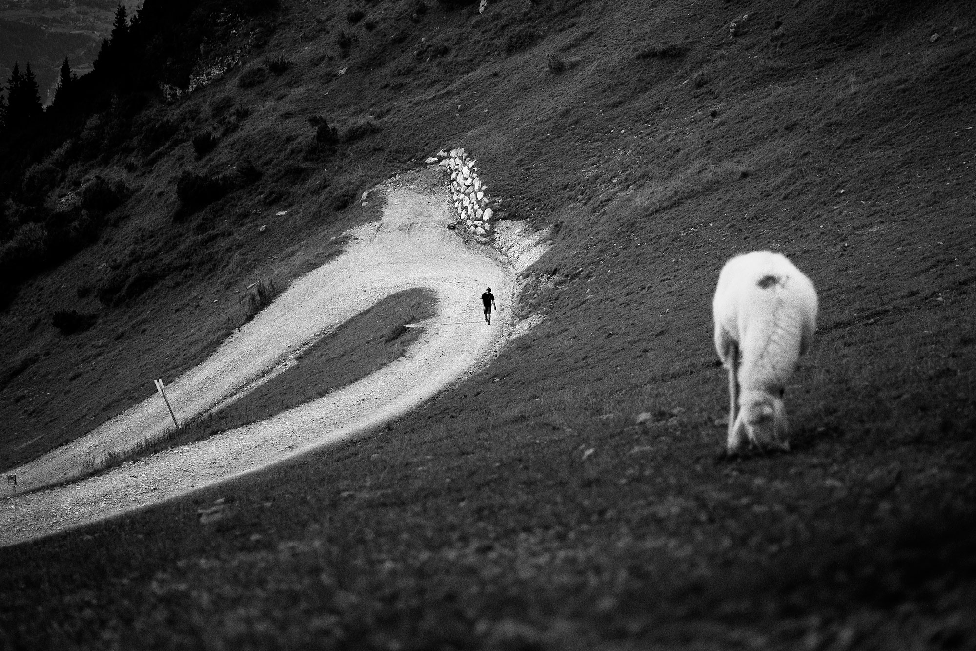 black and white nature, landscape photography